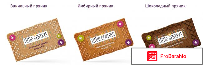 Littlegentrys отрицательные отзывы