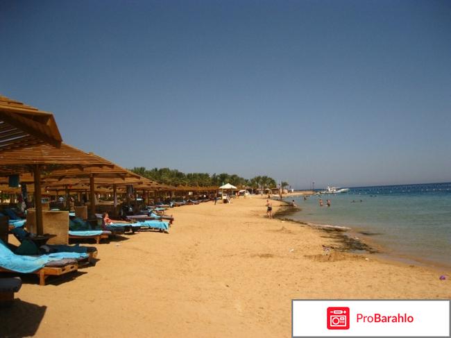 Sunrise royal makadi resort 5 фото