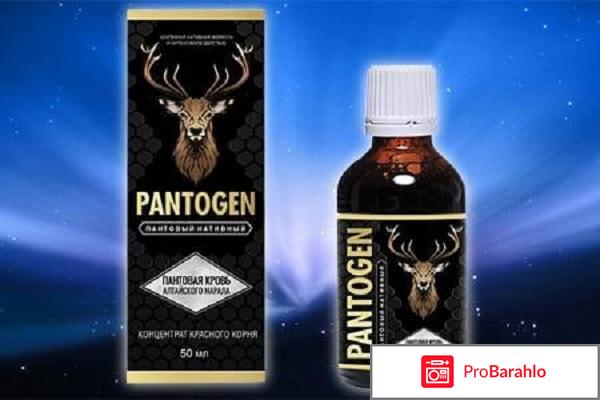 Pantogen обман