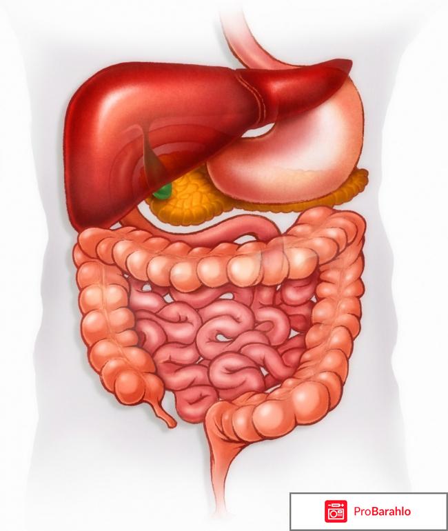 Тримебутин инструкция по применению цена отзывы отрицательные отзывы