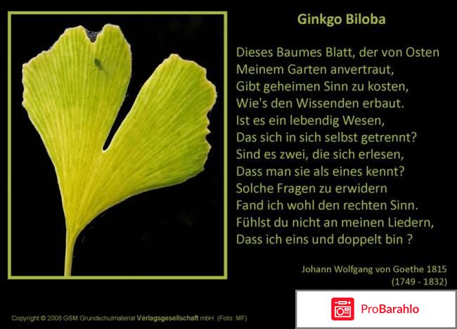 Гинкго билоба неврологов отрицательные отзывы