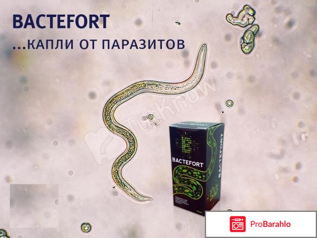 Bactefort - реальные и отрицательные отзывы. 