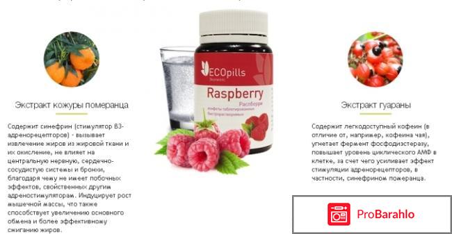 Ecopills raspberry цена 