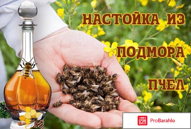 Подмор пчелиный настойка на спирту отрицательные отзывы