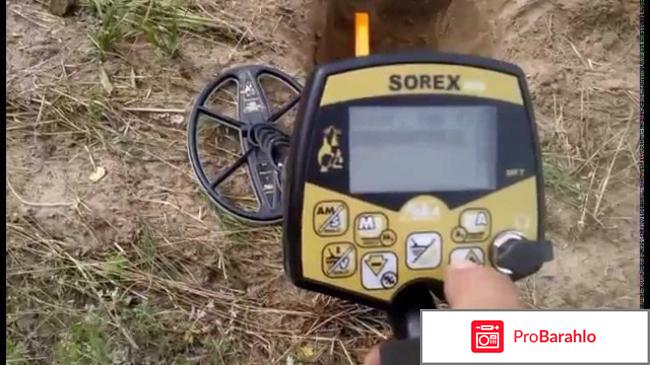 Ака сорекс про обман