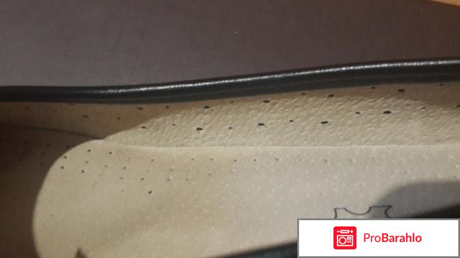 Alessio nesca официальный сайт 