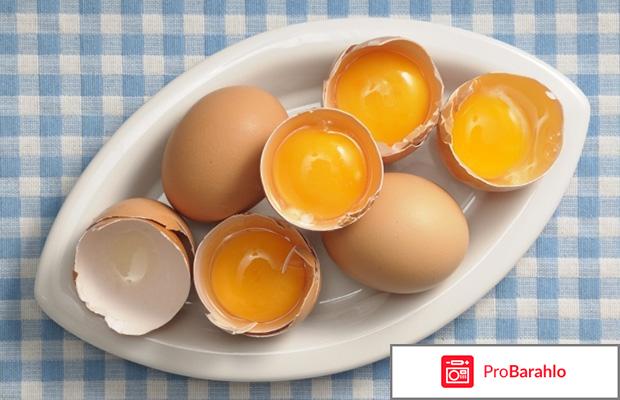 Диета яичная отзывы и результаты с фото 