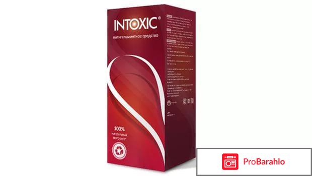 Intoxic отзывы развод 