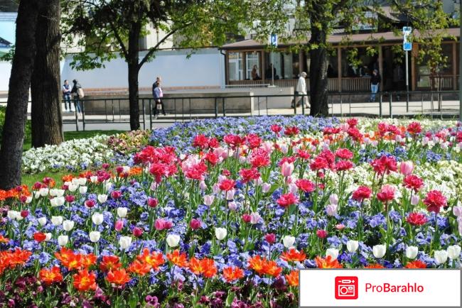 Город Краснодар, отдых обман