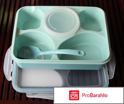 Контейнер для еды с отсеками 