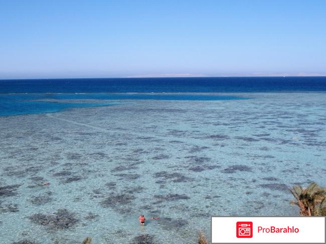 Отель Sunny Days El Palacio Resort & SPA 4* отрицательные отзывы