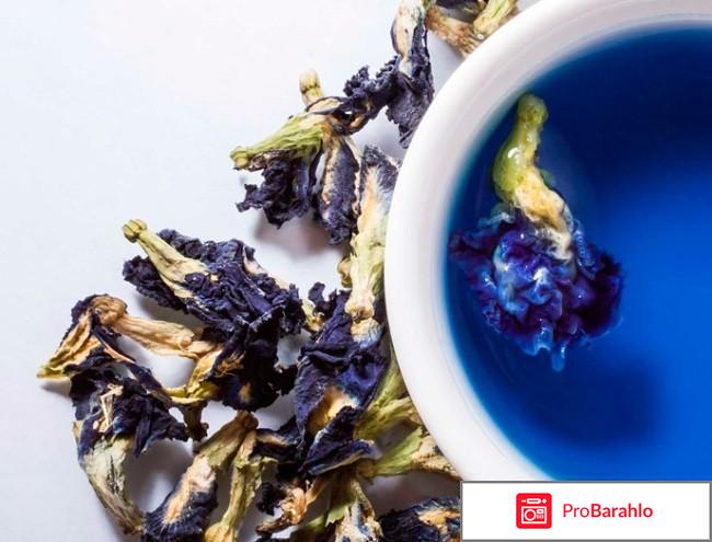 Чай чанг шу отзывы реальные обман