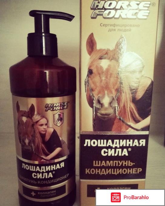 Шампунь для волос лошадиная сила отзывы 