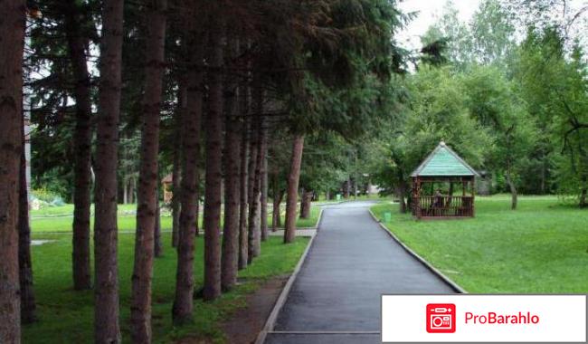 Пансионат сосновый бор 