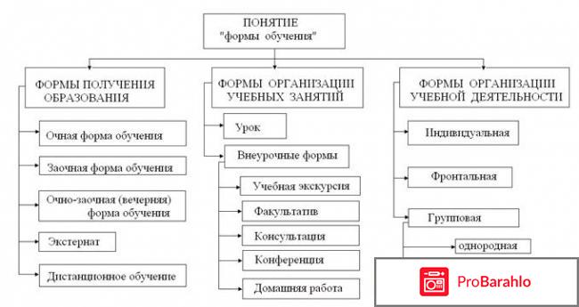 Формы обучения в педагогике 