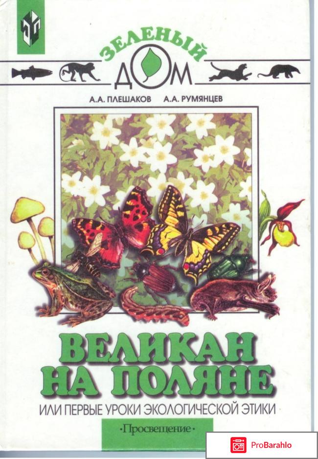 Книга  Великан на поляне, или Первые уроки экологической этики 