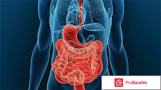 Бифидумбактерин инструкция по применению обман