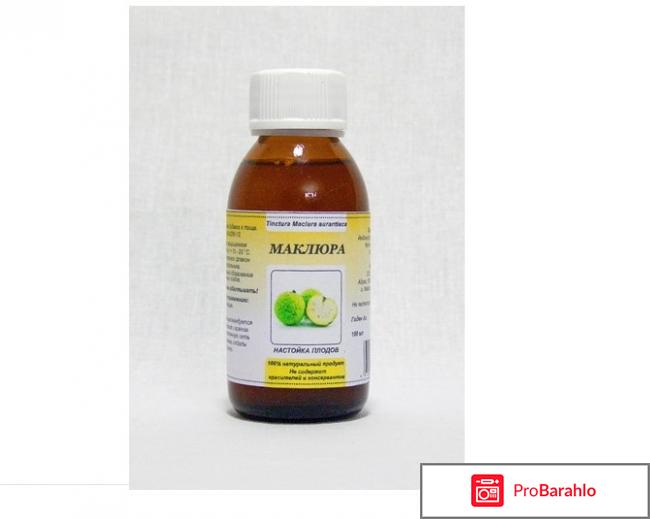 Настойка маклюры отрицательные отзывы