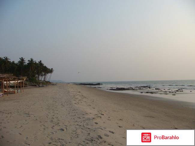 Ашвем отрицательные отзывы