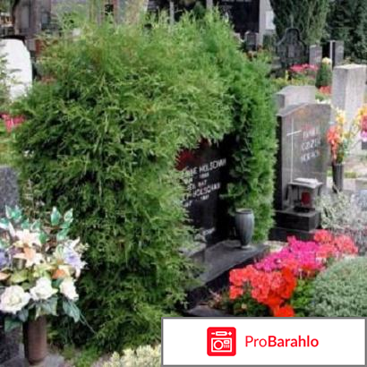 Оформление могил обман