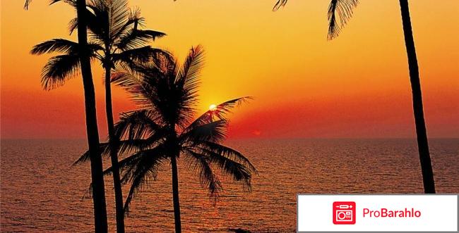 Южный гоа отзывы туристов 2017 фото 