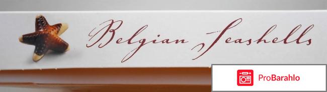 Конфеты Морские ракушки из бельгийского шоколада 