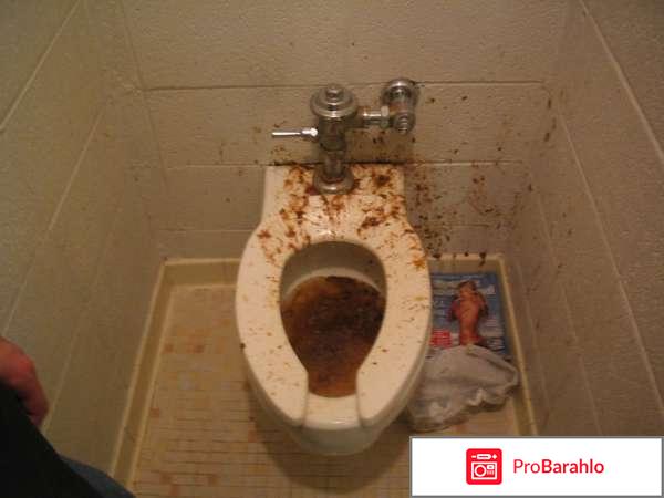 Макдональдс отзывы сотрудников реальные отзывы