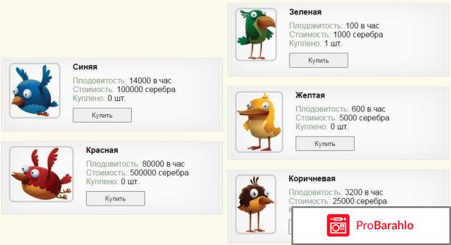 Http rich birds com отрицательные отзывы