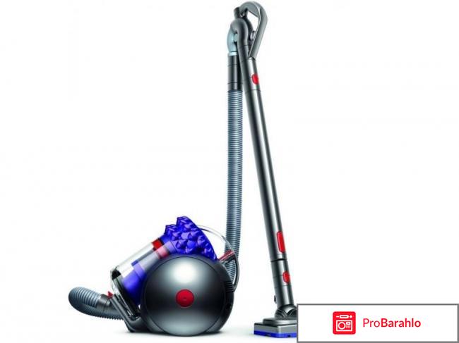 Dyson cinetic big ball animal pro отзывы отрицательные отзывы