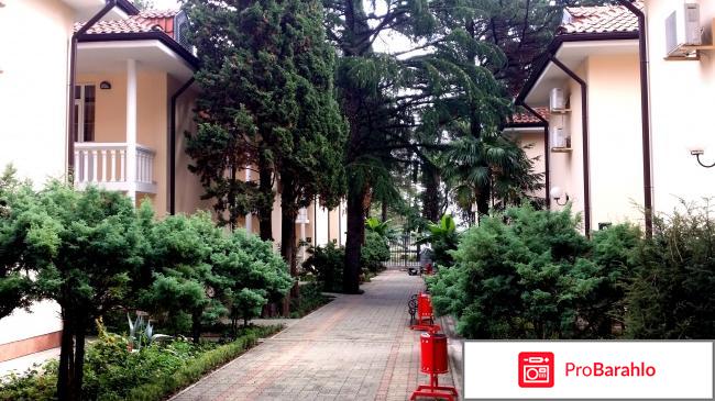 База отдых адлер 