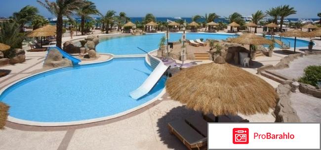 Lotus bay beach resort обман