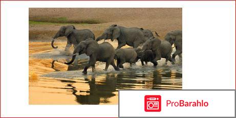 Интересные научные факты 