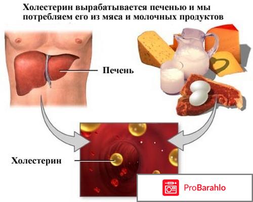 Отзывы на препарат холедол от холестерина отрицательные отзывы