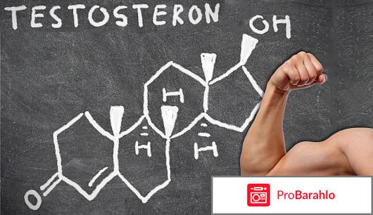 Свободный тестостерон 