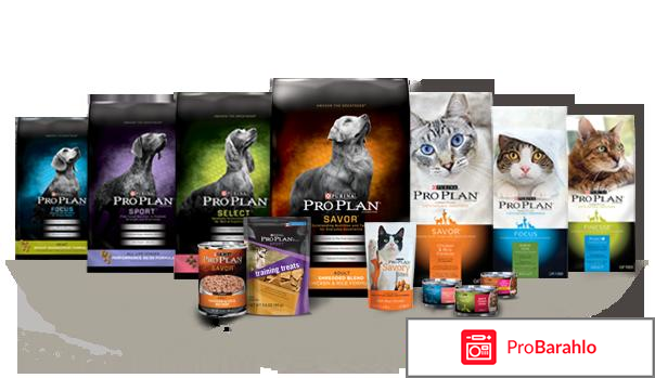 Purina pro plan отзывы 