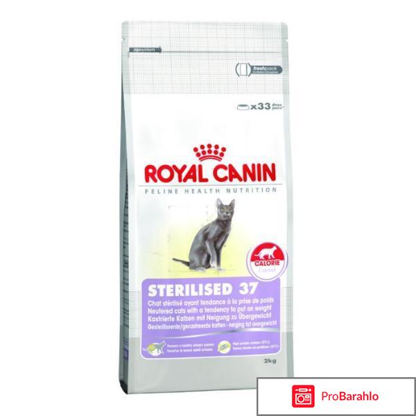 Royal canin для кошек 