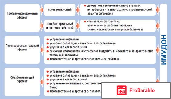 Имудон отзывы врачей специалистов обман