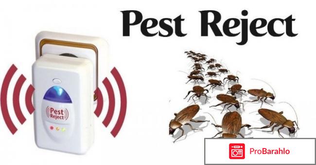 Pest reject отзывы обман 