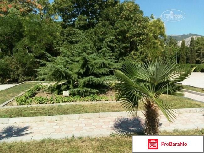 Ток судак отдыхающих 2017 