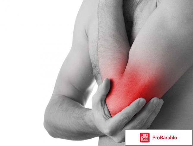 Гель для суставов Пантогор 