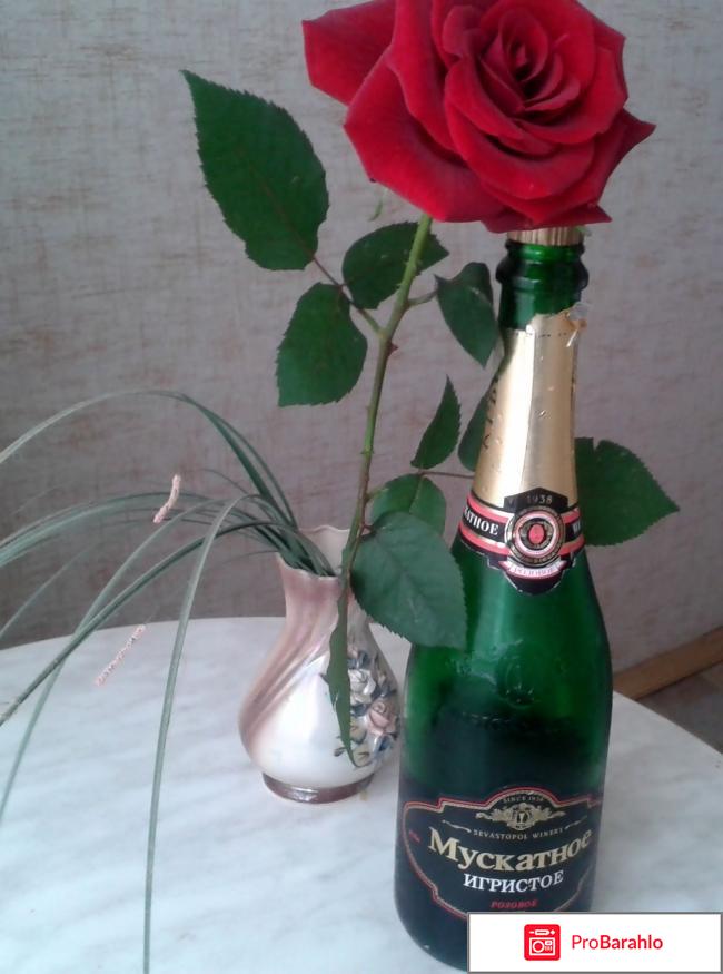 Вино Мускатное Игристое розовое 