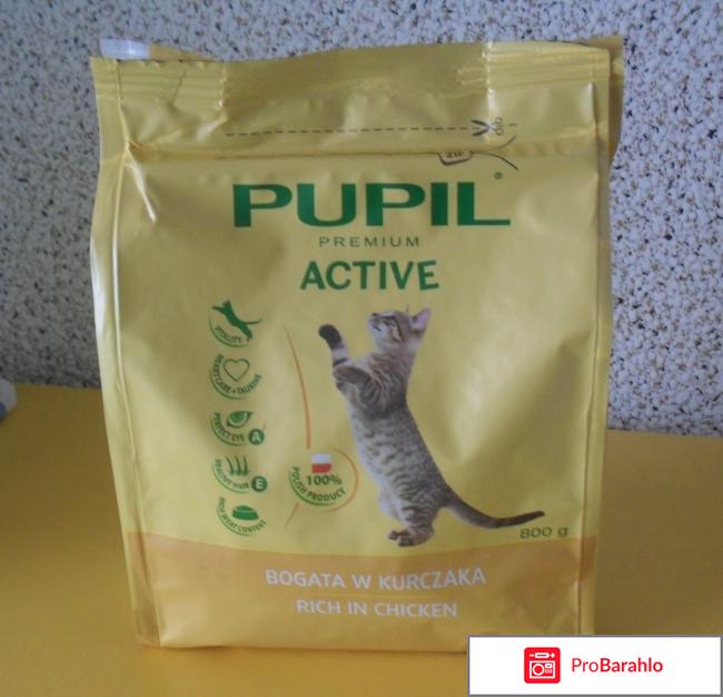 Сухой корм для кошек Pupil Active 