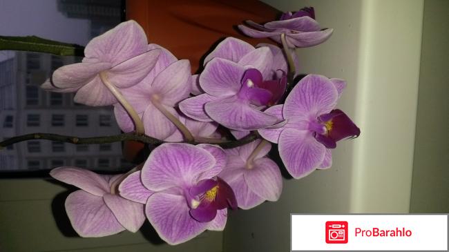 Samsung galaxy s4 16gb gt i9505 реальные отзывы