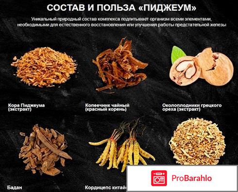 Купить пиджеум отрицательные отзывы