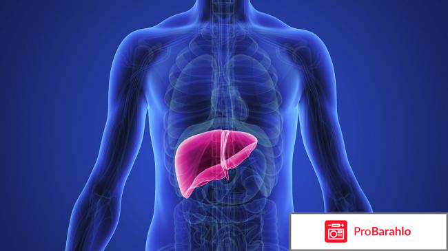 Гепа-мерц инструкция по применению и отзывы отрицательные отзывы