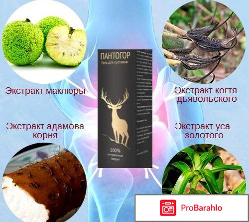 Пантогор скорая помощь при заболеваниях суставов реальные отзывы