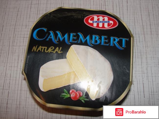 Сыр мягкий Natural Camambert Mlekovita 