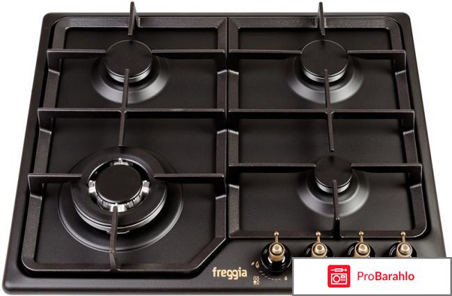 Какую газовую варочную панель лучше купить отзывы отрицательные отзывы