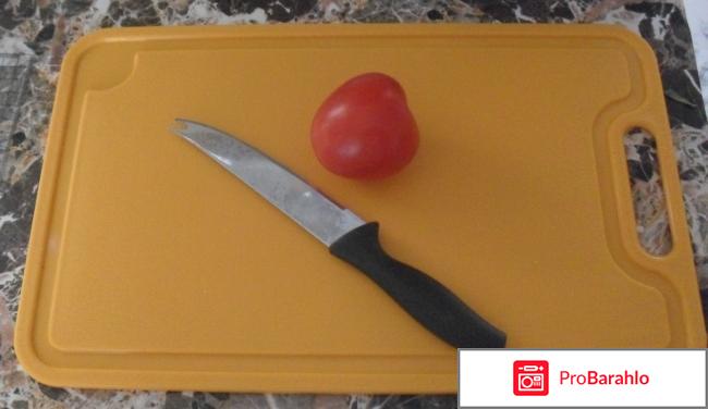 Разделочная доска Lamela отрицательные отзывы