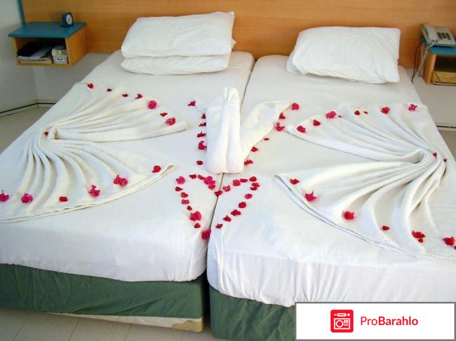 Sun heaven отрицательные отзывы